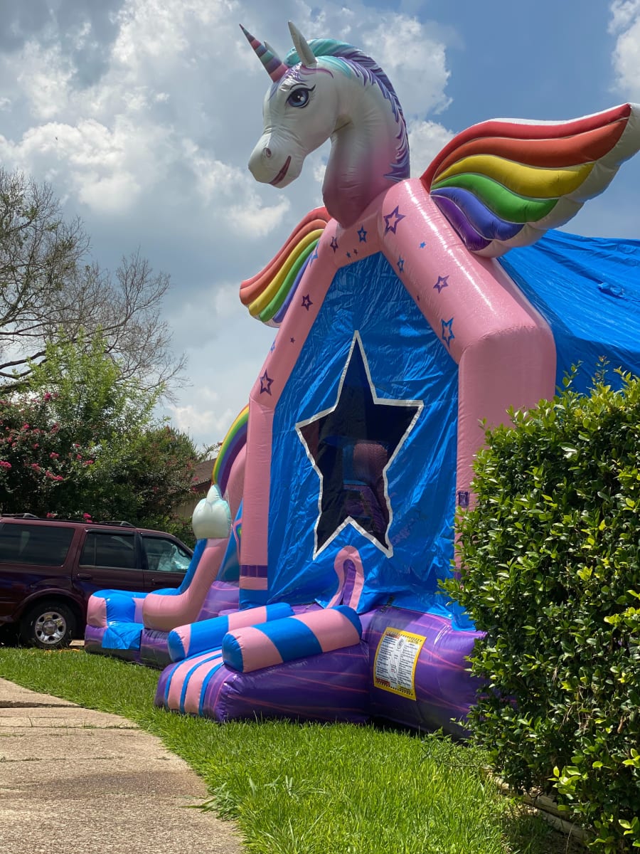 Fluffy Unicorn Combo Best Waterslide service in Katy House Party Inflatables