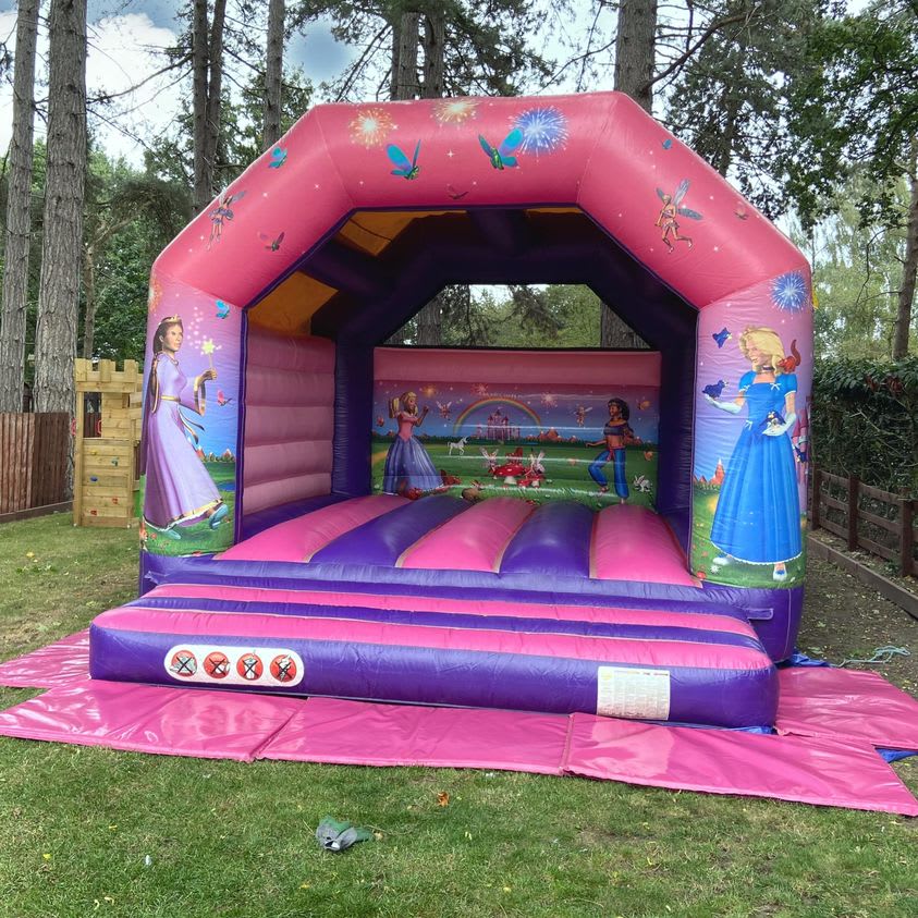 Pink princess bouncy store castle