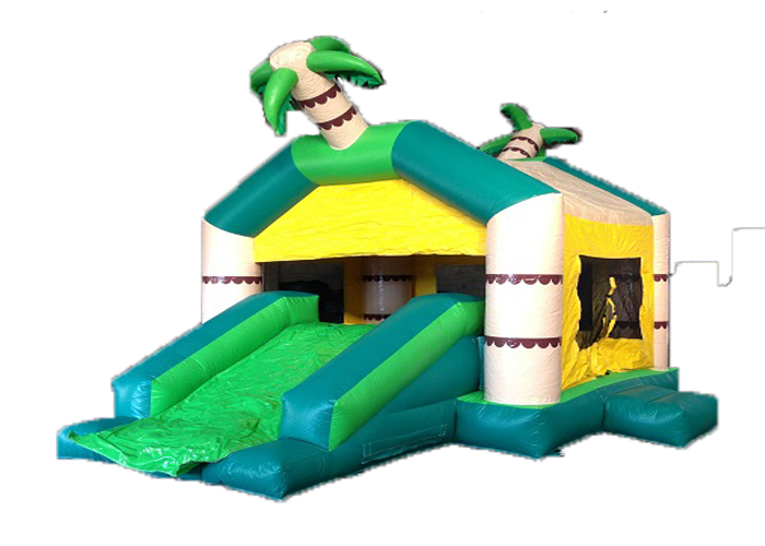 Jungle Slide Jumping Castle Jumping Castle Hire In Brisbane