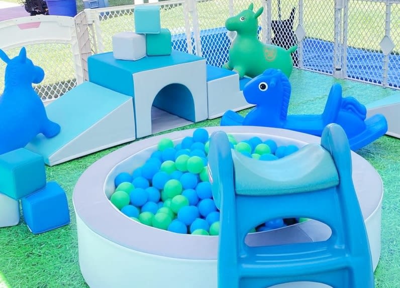  Toys on Rent / Soft Play Zones