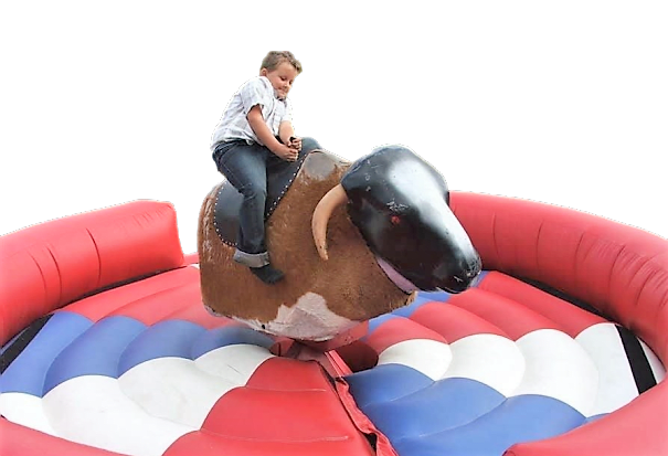 Bouncy bull store