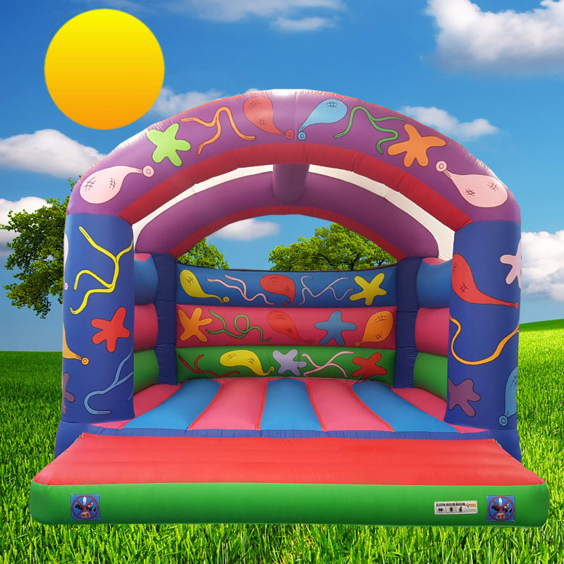 Big bouncy outlet castle