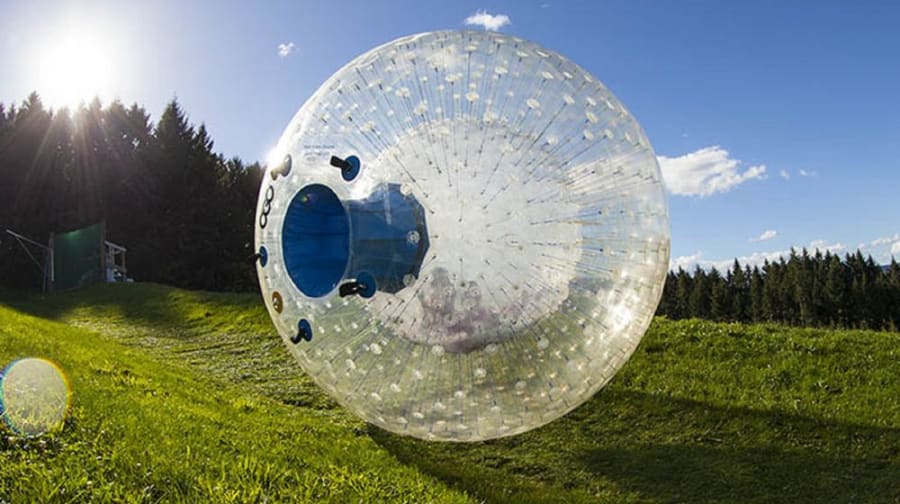 Hamster ball large best sale