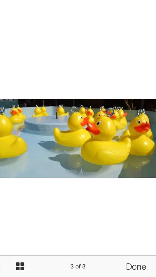 Hook a duck game hire