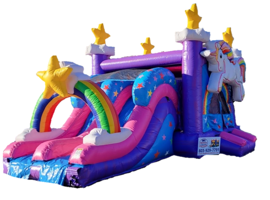 Double Slide Bounce House (NO WATER) - Bounce House Rentals in Pelion, SC