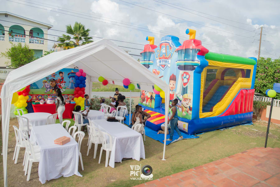 8ft x 8ft LV Backdrop - Bouncy Castle & Party Rentals in