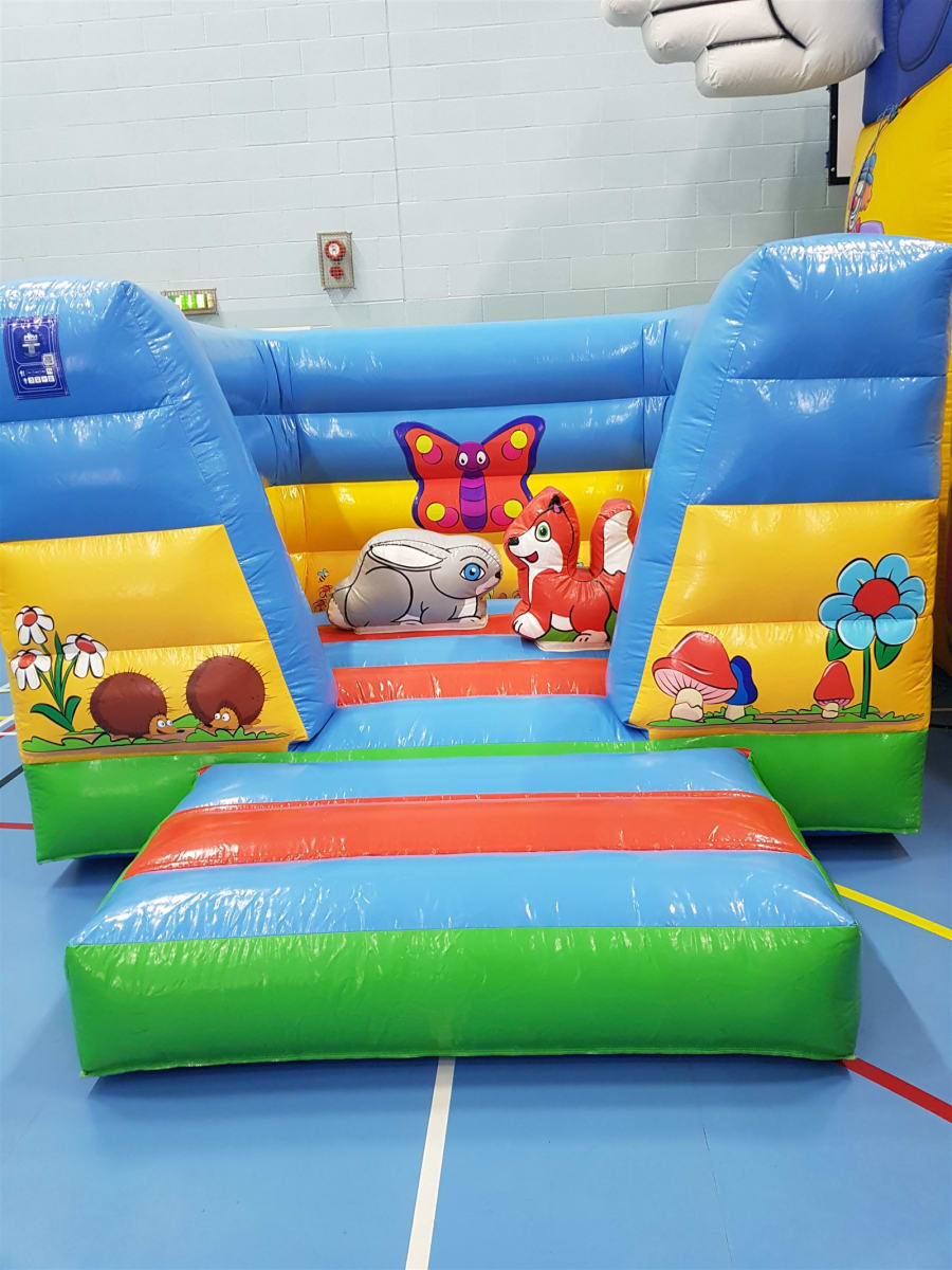 Hook A Duck - Bouncy Castle Hire in Essex, Hertfordshire and London