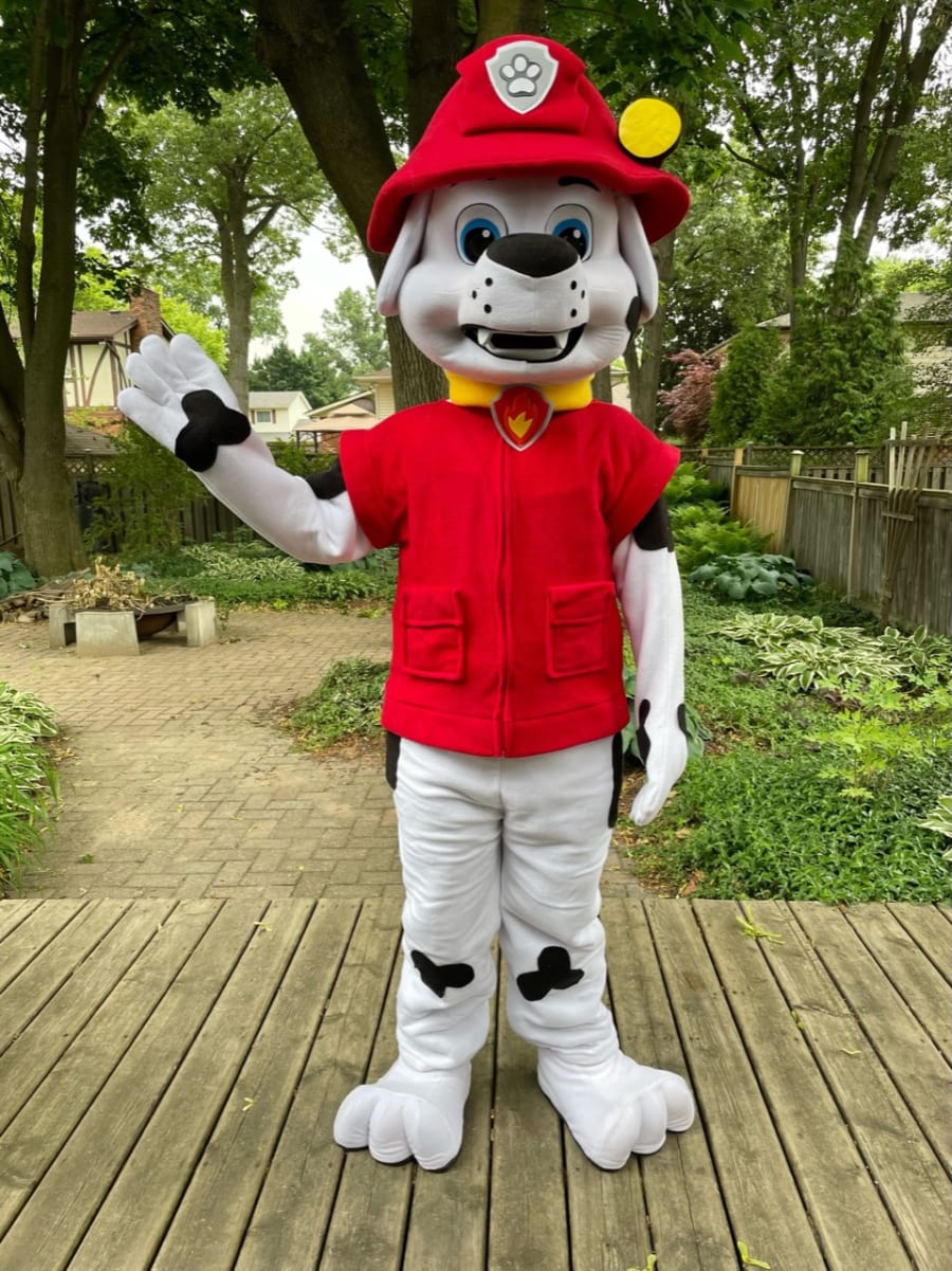 PLUSH PAW PATROL CHASE and MARSHALL Mascot Fancy Dress Up Costume Hire –  Rent A Mascot