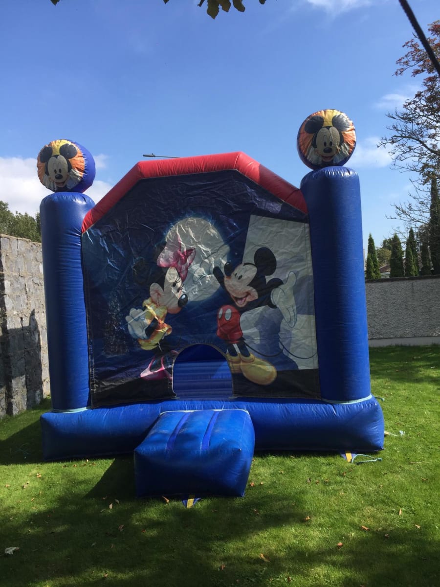 Minnie Mouse Character - Bouncy Castle Hire and Kids Party