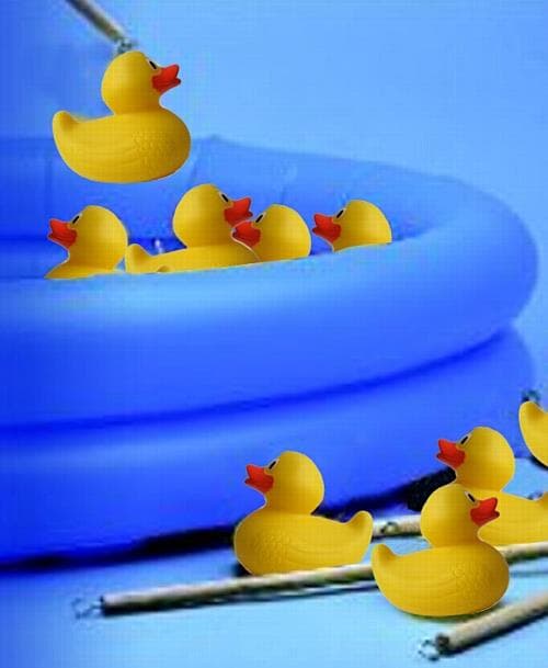 Hook a Duck - Bouncy Castle Hire in London, Bromley, Lewisham