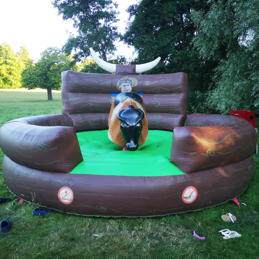 Bucking bronco 2024 pool toy