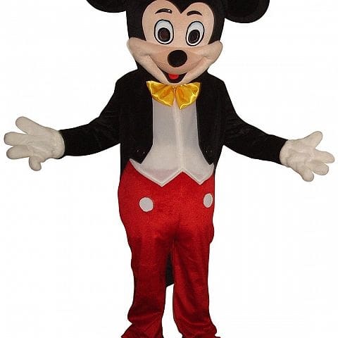 Mickey and minnie 2025 mascot costume for sale