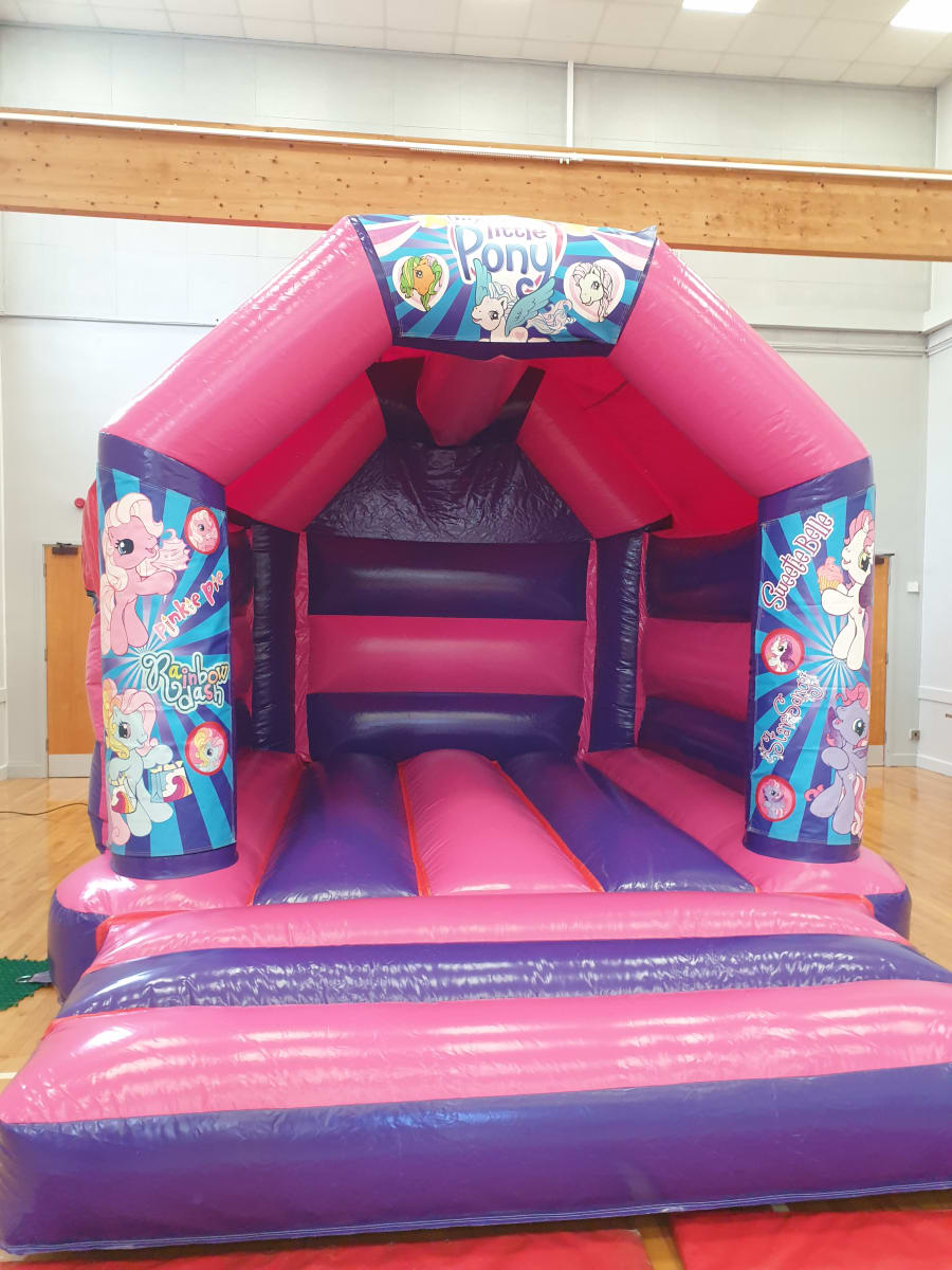 Belle bouncy hot sale castle