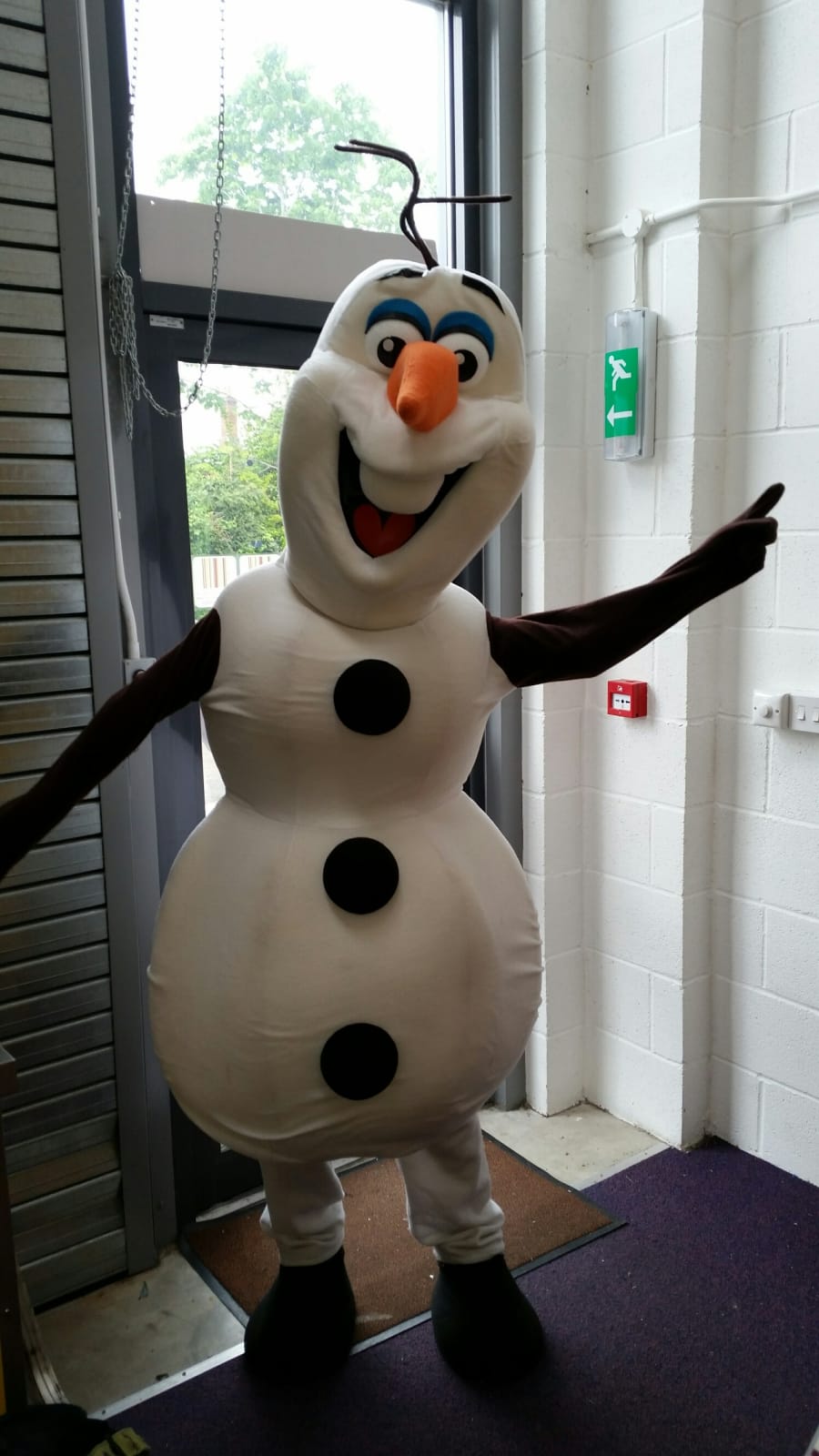 Olaf (Frozen) Mascot Costume - Bouncy Castle Hire, Hot Tub Hire and  Character Costume Hire in Cookstown, Moneymore, Desertmartin, Maghera,  Tobermore, Dungannon, Castledawson