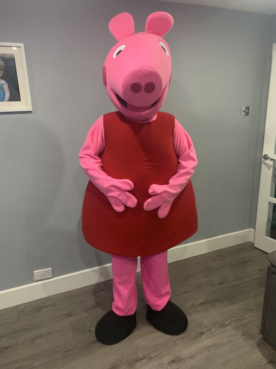 Peppa deals pig costume