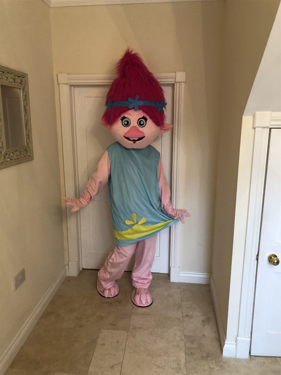 Baby princess outlet poppy costume