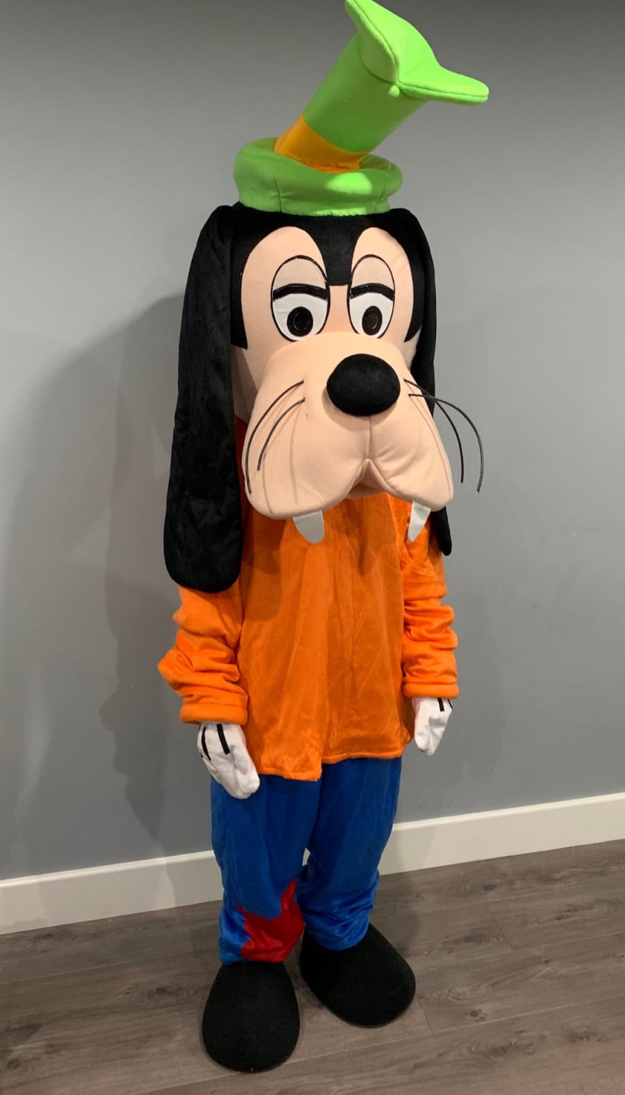 Goofy costume deals