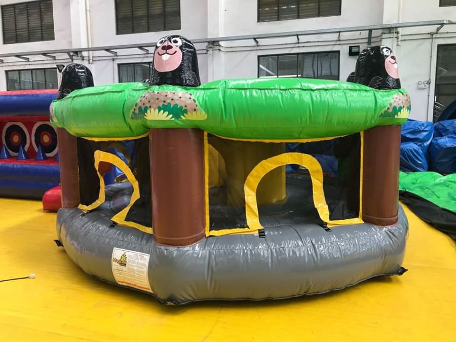 Human Giant Whack A Mole Game - Perth Bouncy Castle Hire