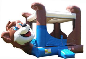 teddy bear bouncer