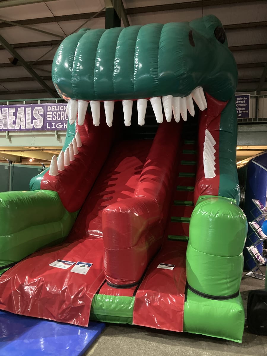 Dino Fun Inflatable Slide