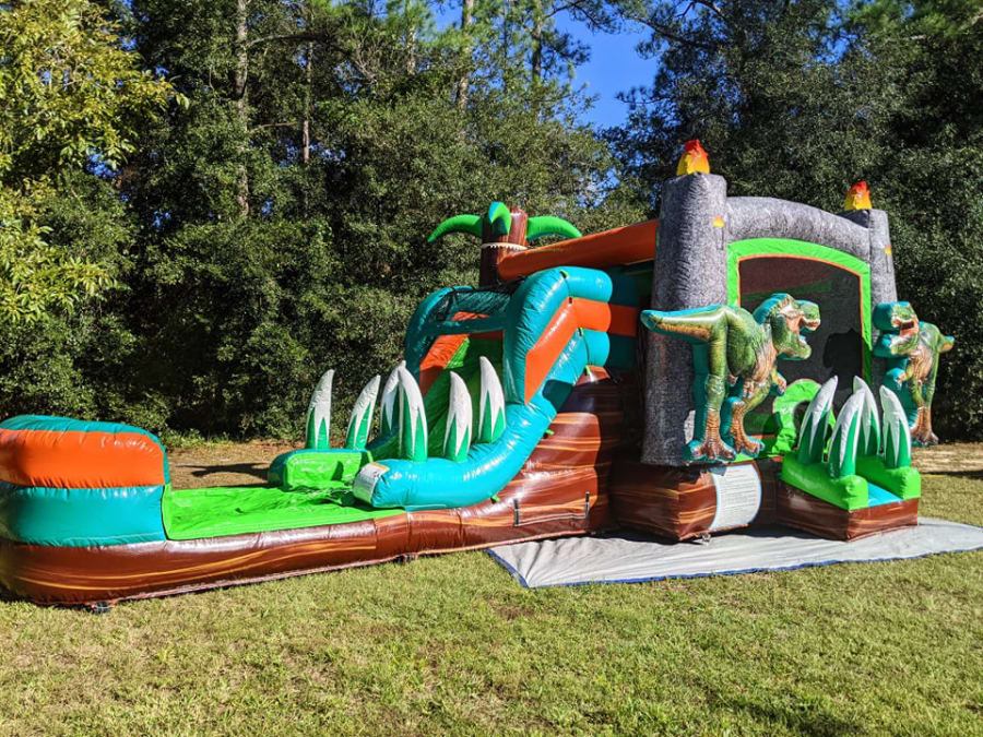 Dinosaur Bounce and Slide DRY