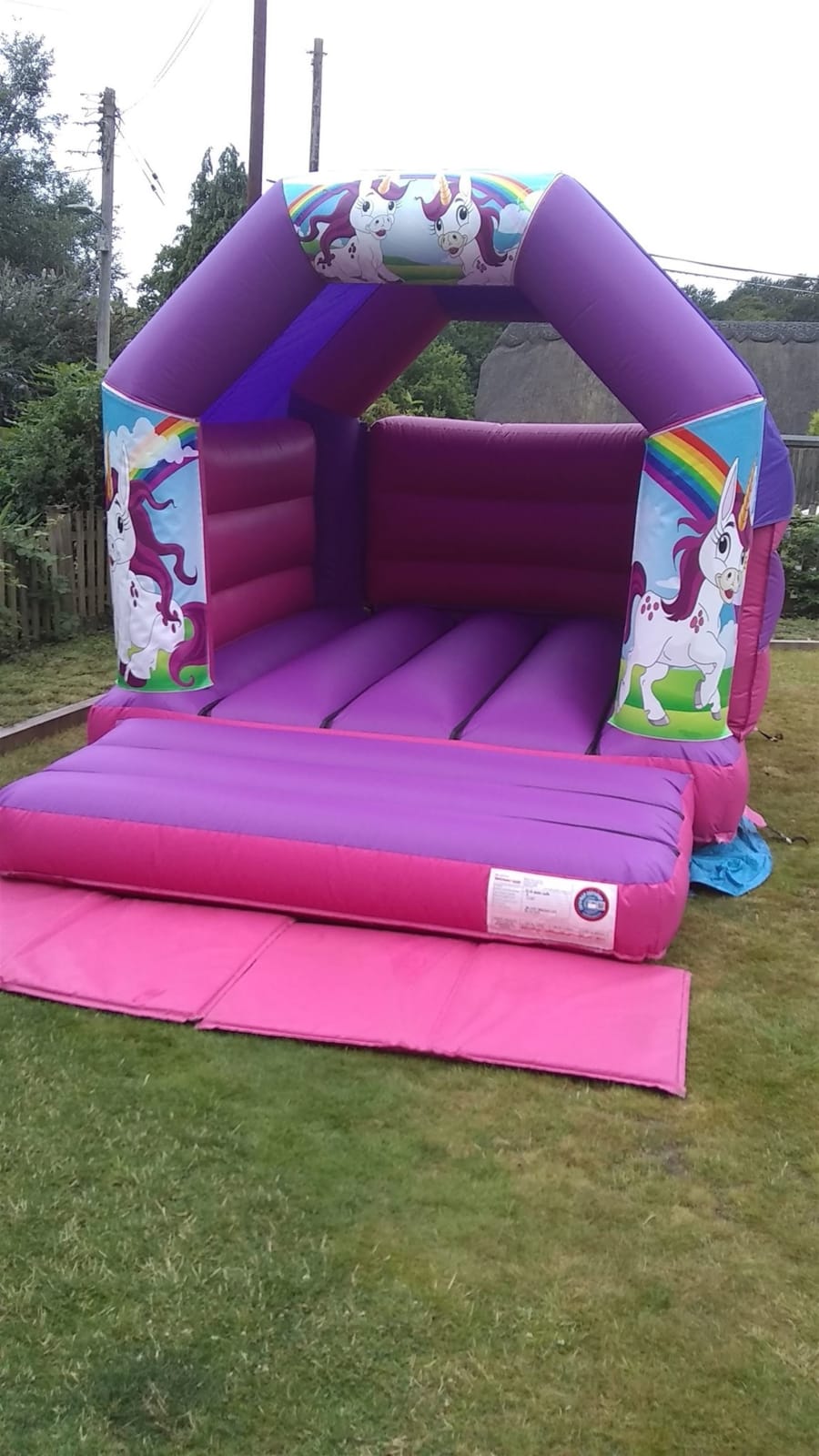 Cartoon Unicorn Bouncy Castle - Bouncy Castle Hire in Totton, Southampton,  Romsey, Eastleigh, New Forest & Hampshire