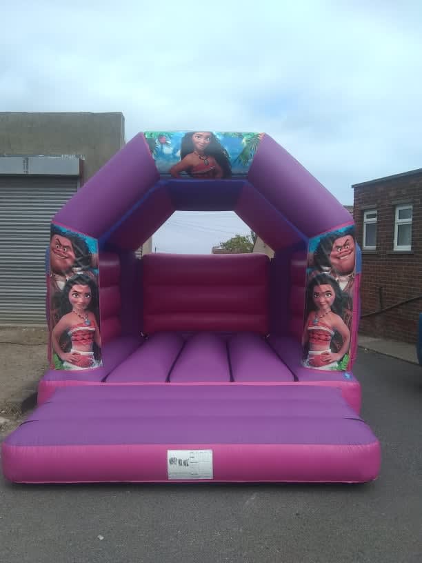 12 X 15 Moana Castle Bouncy Castle Hire In Cleveland