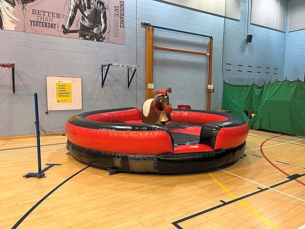 Rodeo Reindeer Hire