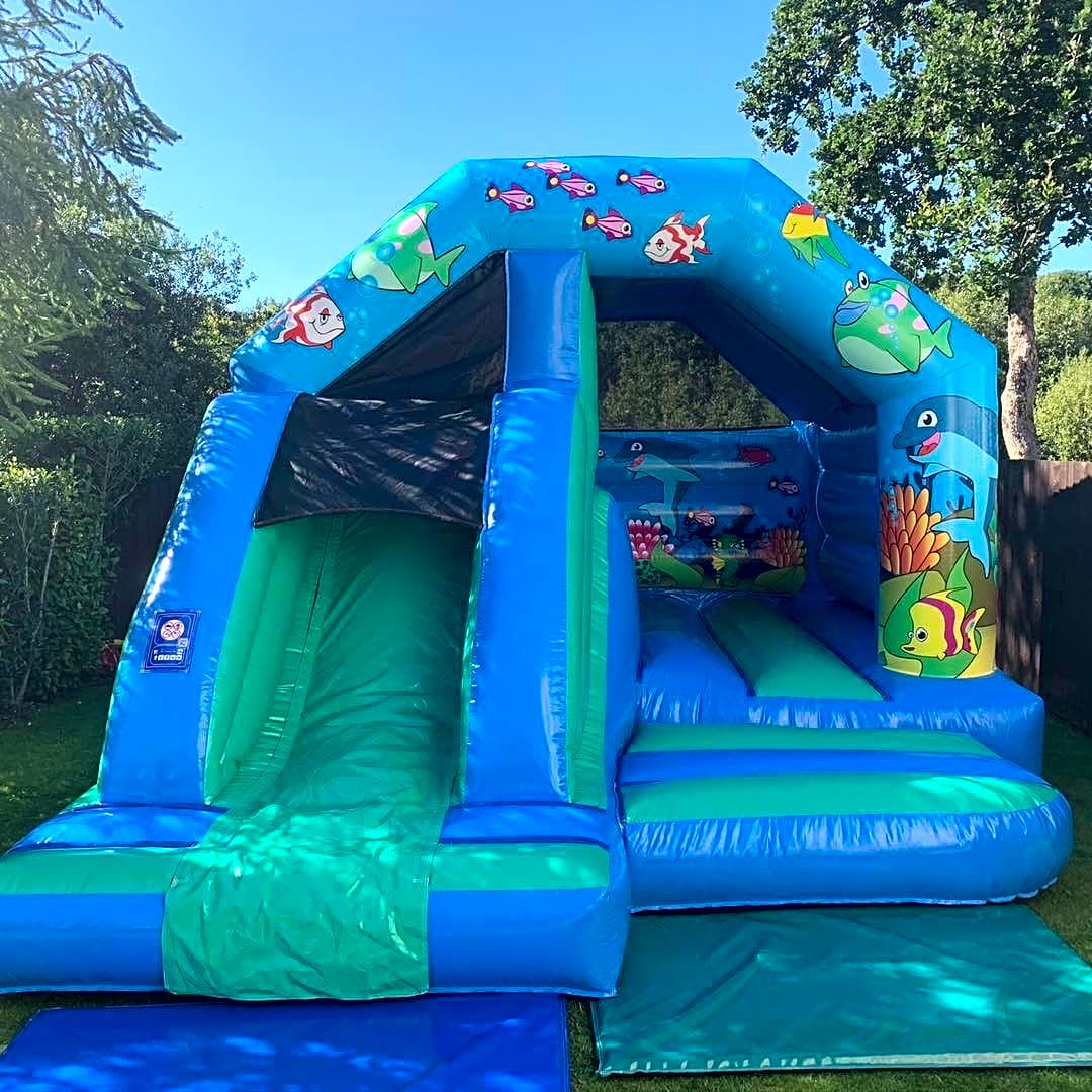 Undersea Bouncy & Slide