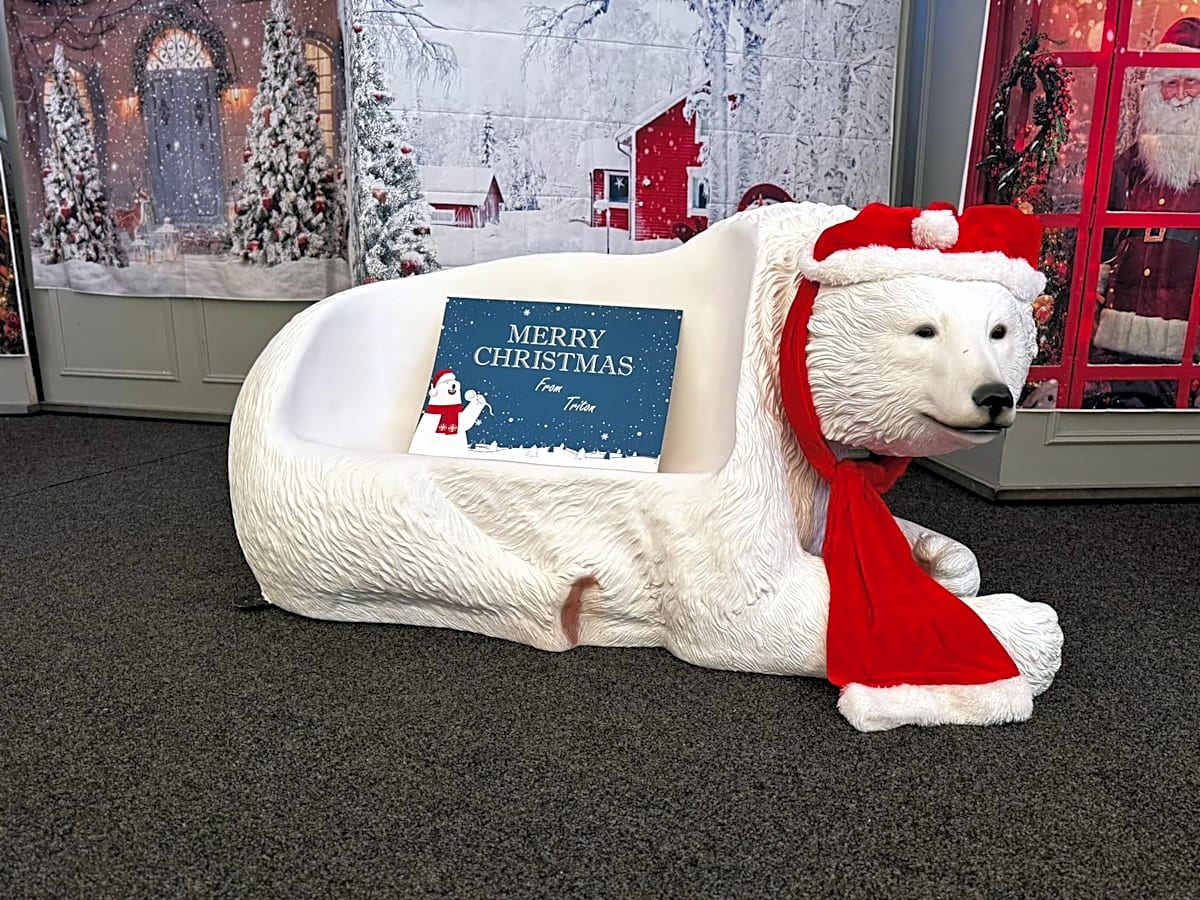 Christmas Bear Seat Prop