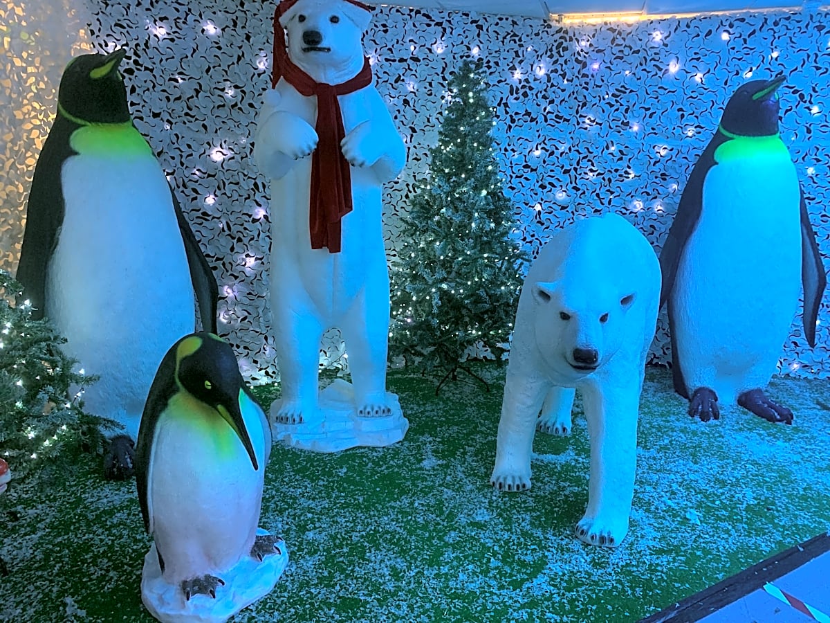 Polar Bear Standing
