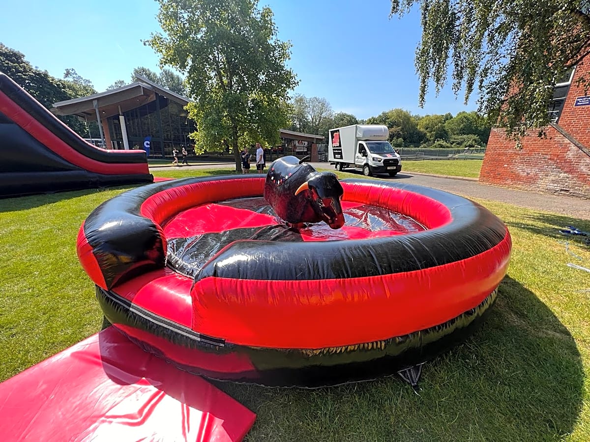 Rodeo Bull Hire
