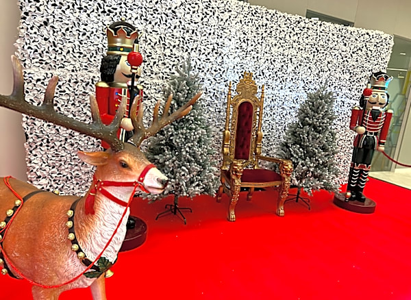 Santa's Grotto Meet & Greet Area – photo 2