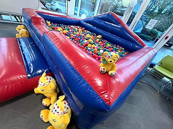 Adult Ball Pit – photo 8
