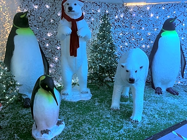 Penguin Adult Prop