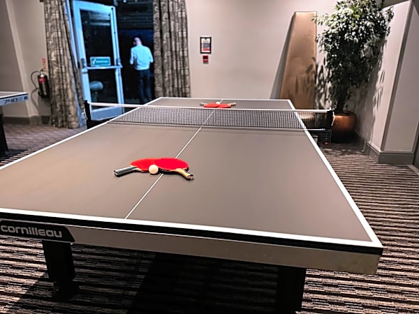 Ping Pong Table Hire Full Size – photo 7