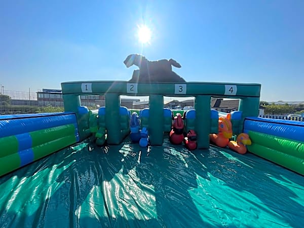 Inflatable Grand National Horse Race