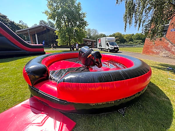 Rodeo Bull Hire