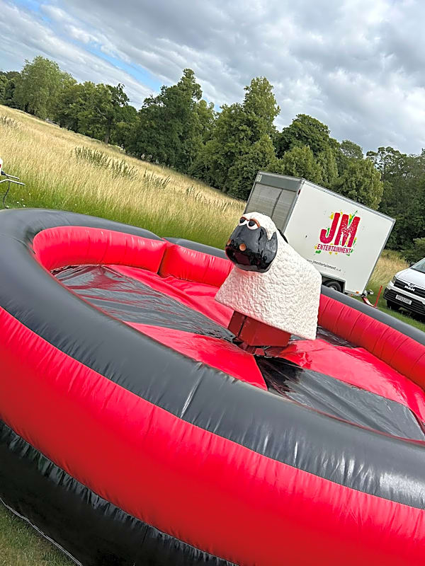 Rodeo Sheep Hire