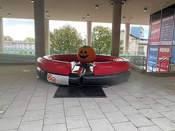 Rodeo Pumpkin Hire – photo 3