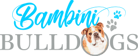 bambini bulldogs