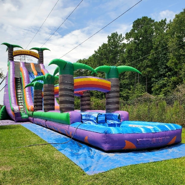 How Much Should I Pay For Inflatable Bounce House Slide Services? thumbnail