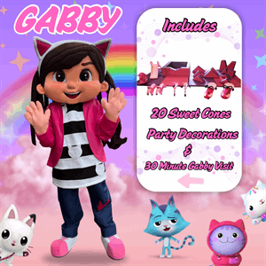 Gabby and Soft Play Package