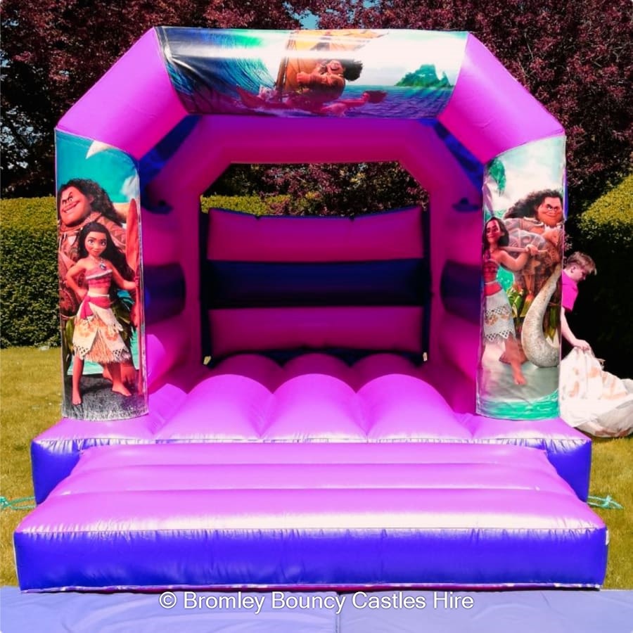 Petts Wood Orpington Kent Moana Bouncy Castle Hire Ball Ponds