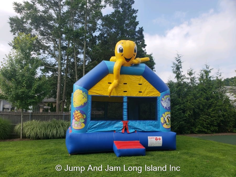 under the sea bouncer