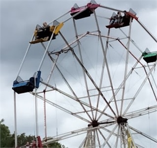 Here's how Ferris wheel idea has fared elsewhere
