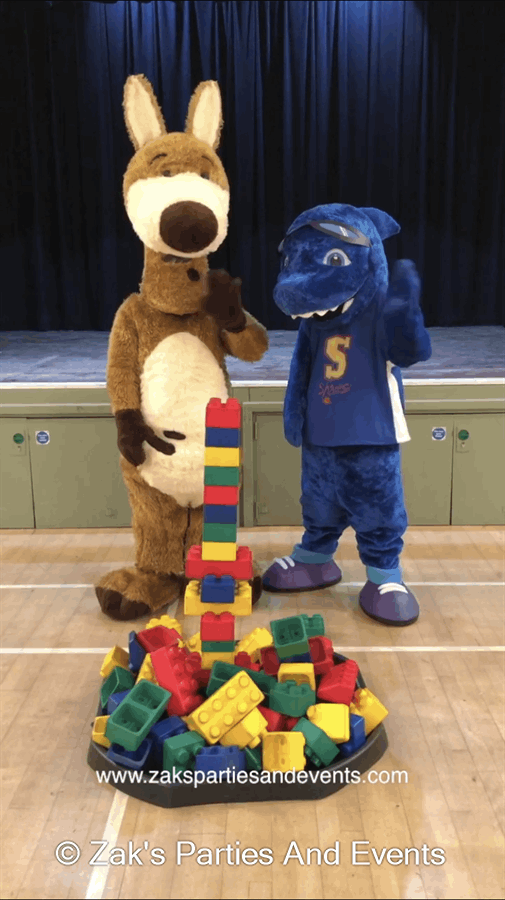 large rubber lego blocks